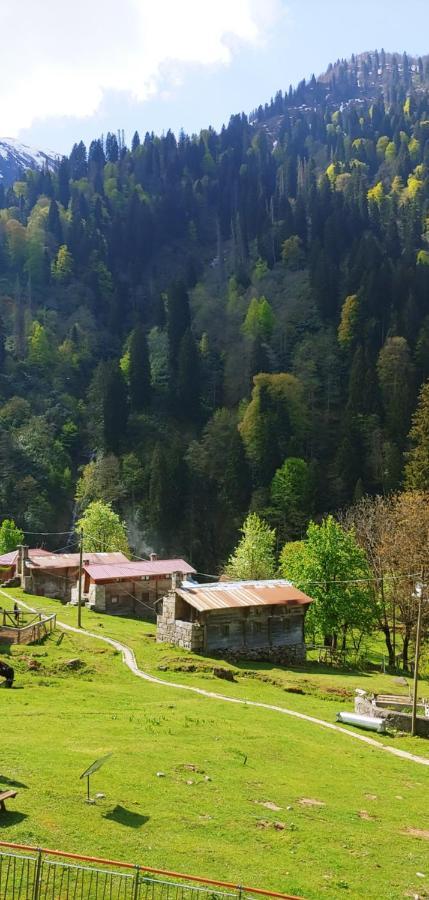 Ayder Vesile Otel 外观 照片